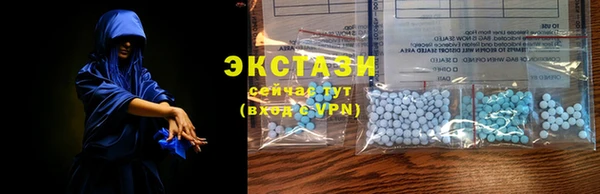 ГАЛЛЮЦИНОГЕННЫЕ ГРИБЫ Аркадак