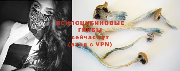 ГАЛЛЮЦИНОГЕННЫЕ ГРИБЫ Аркадак