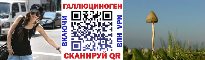 Псилоцибиновые грибы Psilocybe  ссылка на мегу вход  Северо-Курильск 